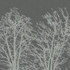 Inverno Mural Pewter/Silver CWM10092 by Coraggio Wallpaper Coraggio Wallpaper Inverno Mural Pewter/Silver CWM10092Wallpaper CORAGGIO SPRING 2026 2 Panel Mural on Non Woven ITALY </p><p>Repeat: H: , V: 79 - Fabric Carolina -