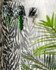 ZEBRATO Nero Wallpaper (WP30212) by Mind The Gap | WP30212 | LA DOLCE VITA | 1 roll x 52 x 1000 cm / 20.5 x 393.7in | 0.52m / 20.5in | 10m / 393.7in | 5.20sqm / 55.9sq ft | 80cm / 31.4in | Grey, Charcoal | Non-woven Satin | Paste the wall | 1-roll in a box | Fabric Carolina | https://www.fabriccarolina.com/