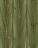 DANUBE FOLIAGE Peridot Wallpaper (WP30218) by Mind The Gap | WP30218 | THE WETLANDS | 1 roll x 52 x 1000 cm / 20.5x393.7 in | 0.52m / 20.5in | 10m / 393.7in | 5.20sqm / 55.9sq ft | 60cm / 23.6in | Green, Ochre | Non-woven Satin | Paste the wall | 1 roll in a box | Fabric Carolina | https://www.fabriccarolina.com/
