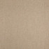 Value Modern Silversage D5015 by Charlotte Fabrics Fabric Charlotte Fabrics Fabric Value Modern 100% Polypropylene USA Horizontal 9" 54"  - Fabric Carolina -