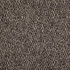 Value Modern Soot D5037 by Charlotte Fabrics Fabric Charlotte Fabrics Fabric Value Modern 99% Polypropylene, 1% Polyester USA No Repeat 54"  - Fabric Carolina -