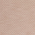Groupie 6 Rosebud by Marcus William Fabric