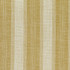 Jacob 3 Dandelion by Marcus William Fabric