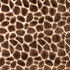 Amelia Brownstone A1438-01 by 29 Park Fabric