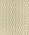 Andante Fern M11690 by Barrow Industries Fabric 24CL10 Serenade 49% Polyester (S), 31% Cotton, 20% Polyester (F) India 36,000 Double Rubs Repeat: Horizontal: 3-1/2" and Vertical: 3" 54" - Fabric Carolina -