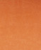 Aurora 1 Apricot by Barrow Industries Fabric AB252 Aurora 82% POLYESTER, 18% COTTON China 75,000 DOUBLE RUBS Repeat: Horizontal: 0" and Vertical: 0" 56" - Fabric Carolina -