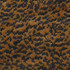 Chautauqua Tiger U98176 by Coraggio Fabric