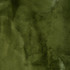 Furocious Olive 481403 by PKL Studio Fabric