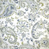 Sezincote Chitra Juniper by Europatex Fabric