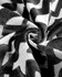 Kravet Design 37358-81 by Kravet Design Fabric