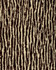 Basalt by Lee Jofa Wallcovering