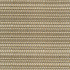 Hot To Trot Platinum by Kasmir Fabric 5113 78% Polyester
22% Cotton
 INDIA </p><p>Repeat: Horizontal: 6 7/8 inches and Vertical: 14 6/8 inches 54 - 56 - Fabric Carolina -