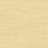 Mellifluous Cameo by Kasmir Fabric 5076 TURKEY H: N/A, V:N/A 117 - 118 - Fabric Carolina - Kasmir