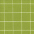 Skylar Check Island Green by Kasmir Fabric 5074 100% Cotton INDIA 9,000 Wyzenbeek Double Rubs H: 2 2/8 inches, V: 2 2/8 inches 54 - Fabric Carolina - Kasmir