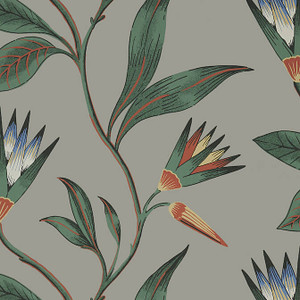 Cleo Vine Charcoal AT9616 by Anna French Wallpaper - Fabric