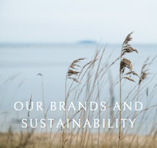Our Brands and Sustainability