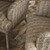 William Yeoward Banjara Fabric  Striped Malia Fabric Styled Room Shot William Yeoward Banjara Fabric  Striped Malia Fabric Styled Room Shot