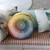 Colour Wheel Multicolour Cushion