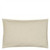 Rivoli Silver 50x30cm Cushion