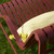Pompano Acacia Outdoor Cushion