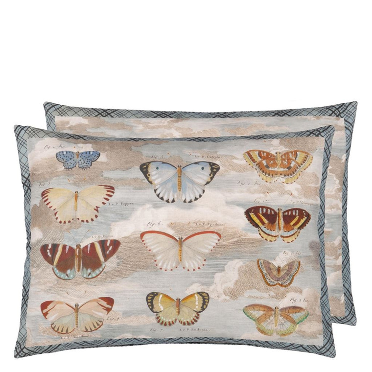 Butterfly Studies Parchment Cm Cushion 60x45cm