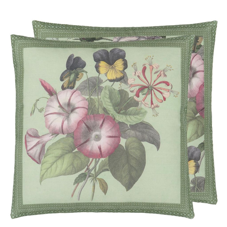 Botany Sage 50x50cm Cushion