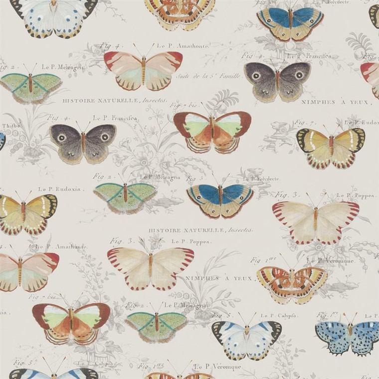 Butterfly Studies Wallpaper