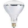 250 Watt Heat Bulb