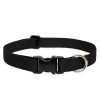 Lupine Collars & Leashes - 1"