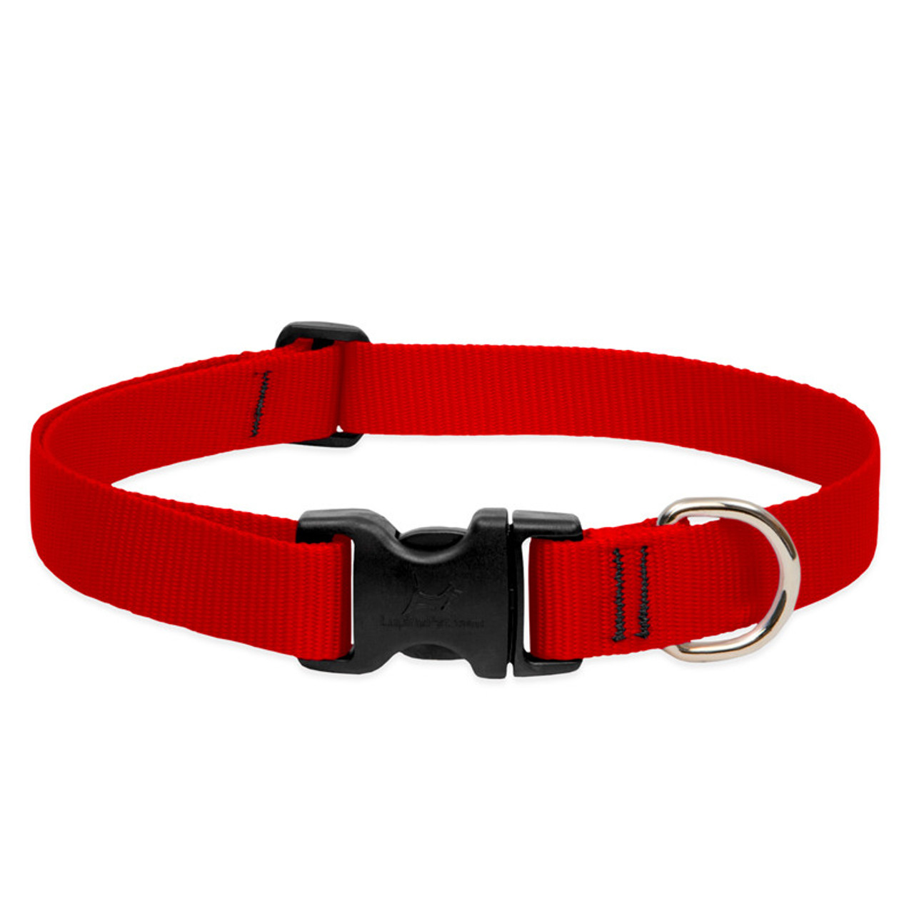 Lupine Collars & Leashes - 1"