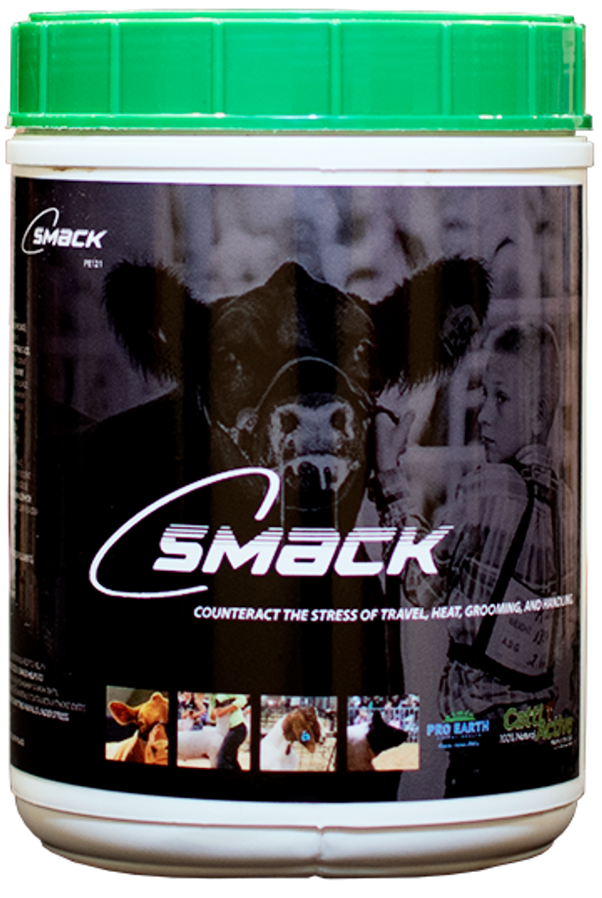 C-Smack 2#