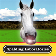 Spalding Labs