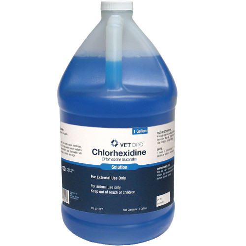 Chlorhexidine Solution - 1 Gallon