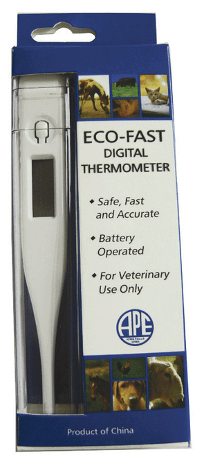 Cotran Large Digital Thermometer