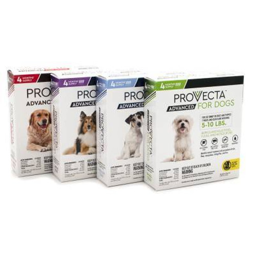 Provecta Advanced Dog - 4 Pack