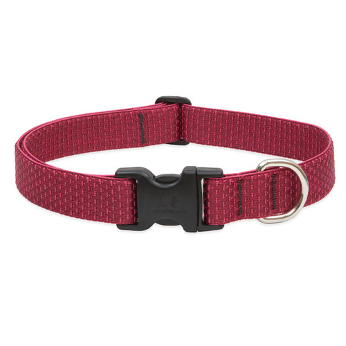 Lupine Collars & Leashes - 1"