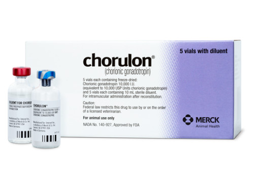Chorulon 5x10mL - Prescription Required