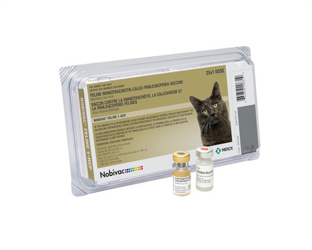 Nobivac Feline 1-HCP