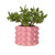 BOBBLE PLANTER