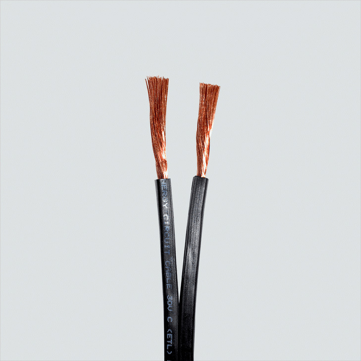 10AWG, 2 Conductors, Direct Burial Outdoor