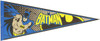 Batman Logo Pennant