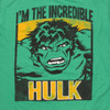 Incredible Hulk Block Portrait T Shirt Sheer