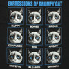 Grumpy Cat Expressions T Shirt Sheer