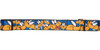 Looney Tunes Road Runner Face Expressions Mesh Belt