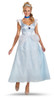 Cinderella Deluxe Adult Costume