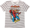 Amazing Spiderman Whoosh Gray Striped Youth Shirt