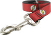 Flash Bolt Logo Pet Leash