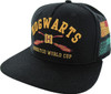 Harry Potter Quidditch World Cup Snapback Hat