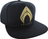 Aquaman Justice League Logo Snapback Hat