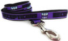 Transformers Decepticons Logo Wrap 4 Ft Pet Leash